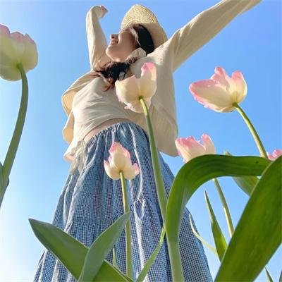 高中（纪录片）海报